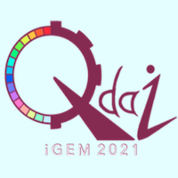 qdai