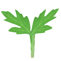 yomogy