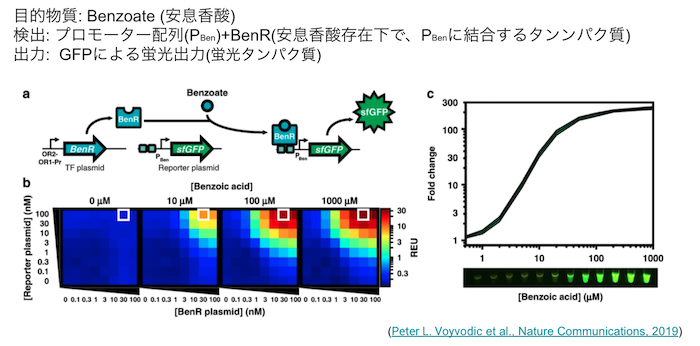 Fig.3 - プロモーターを活用した biosensor (Peter L. Voyvodic et al. 2019より引用)