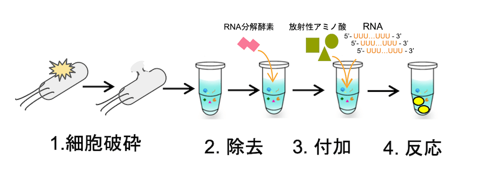 cell-free-overview-fig1